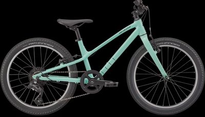 Specialized Jett 20&quot; Kids Bike