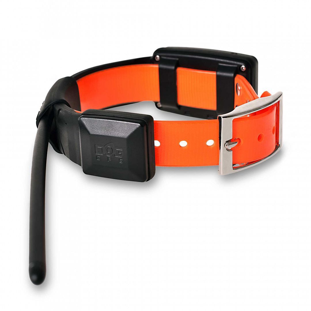 Dog Trace X30 Track and Trace System 1 Collar