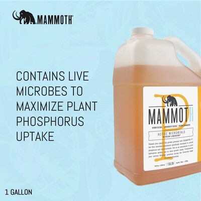 Mammoth P 1 gallon