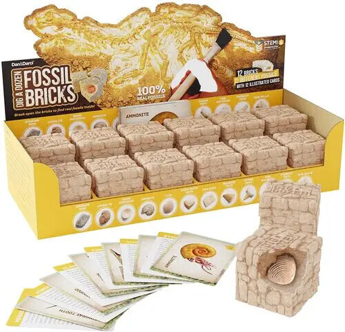 Dig a Dozen Fossil Bricks #9872
