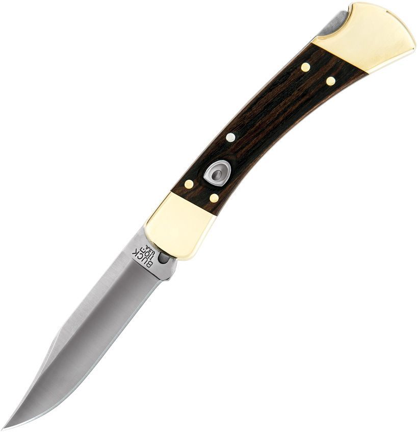 Buck Auto 110 Lockback