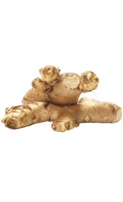 Ginger
