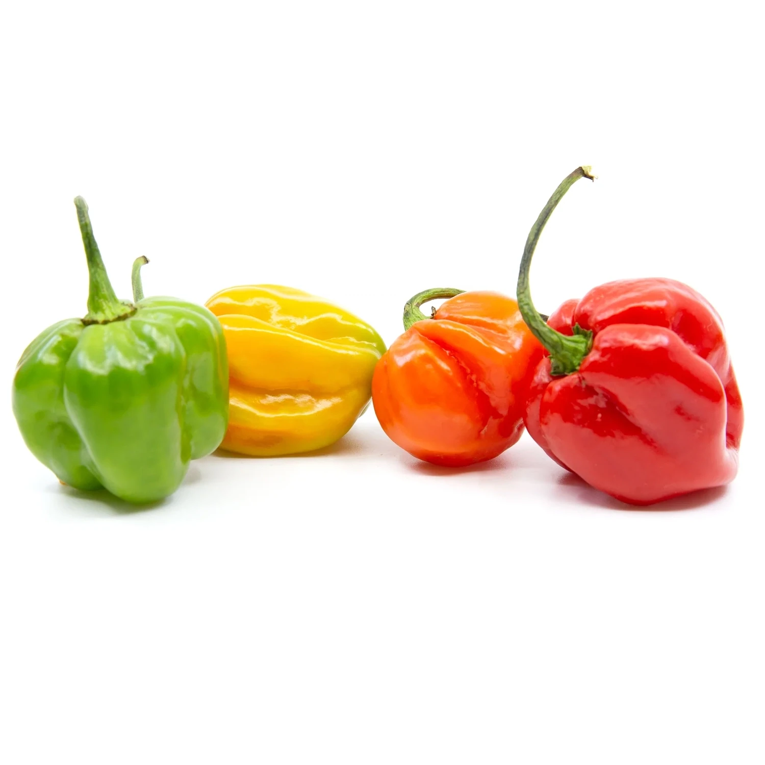 Scotch bonnet pepper