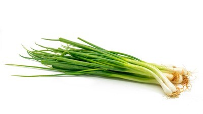 White Root Escallion