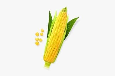 Sweet Corn