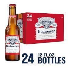 Budweiser 24pk Bottle