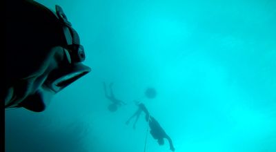 Freediving Courses
