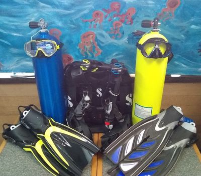 Gear