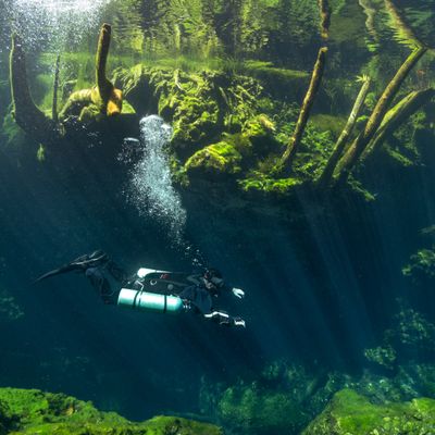 Sidemount Diver: Lynnwood