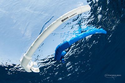 Freediving Snorkels