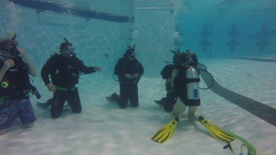 Open Water Scuba Diver Course Weekend: Tacoma