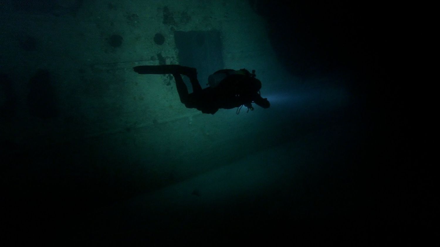 Night Diver Course: Lynnwood