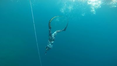 Freediver Course: Lynnwood