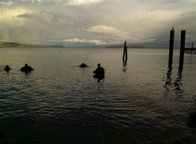 Lighthouse Keeper's Club Dive
