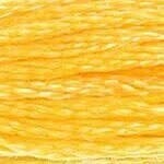 117 743: Medium Yellow