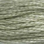 117 524: Very Light Fern Green