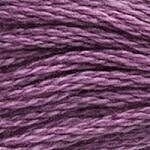 117 3835: Medium Grape