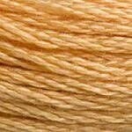 117 3827: Pale Golden Brown