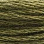 117 3011: Dark Khaki Green