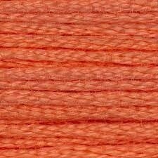 117 3341: Apricot