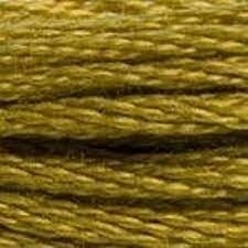 117 832: Golden Olive