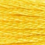 117 973: Bright Canary