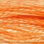 117 722: Light Orange Spice