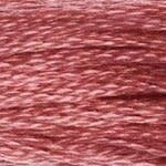 117 335: Rose