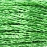 117 702: Kelly Green