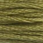 117 370: Medium Mustard