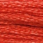 117 350: Medium Coral