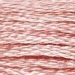 117 224: Very Light Shell Pink