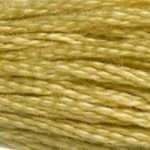 117 834: Very Light Golden Olive