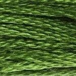 117 905: Dark Parrot Green