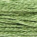 117 989: Forest Green