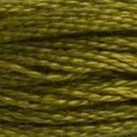 117 732: Olive Green