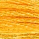 117 742: Light Tangerine