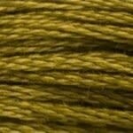 117 831: Medium Golden Olive