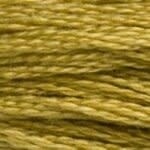 117 833: Light Golden Olive