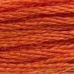 117 720: Dark Orange Spice