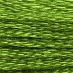117 906: Medium Parrot Green