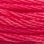 117 891: Dark Carnation