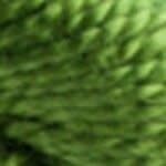 DMC3 3346: Hunter Green