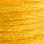 117 972: Deep Canary