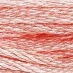 117 761: Light Salmon
