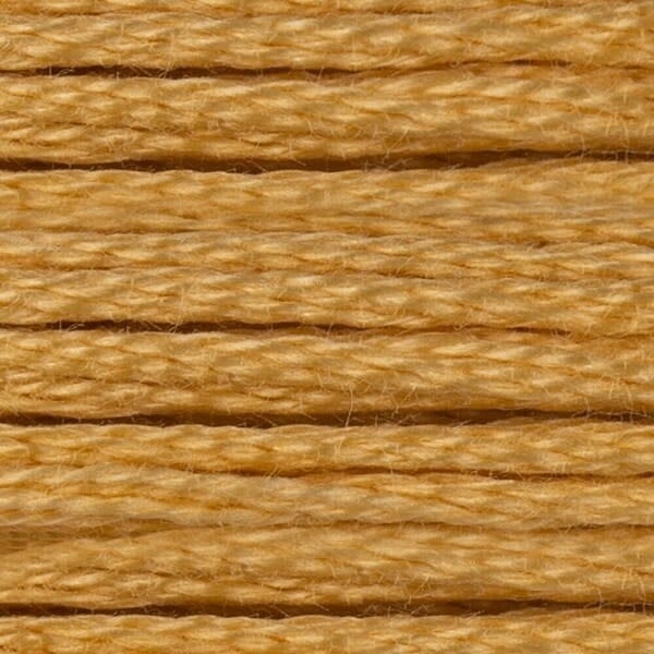 117 676: Light Old Gold