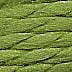 PE: 052 Lettuce