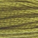 117 733: Medium Olive Green