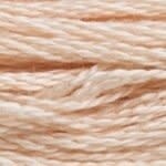 117 950: Light Desert Sand