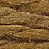 PE: 037 Adobe